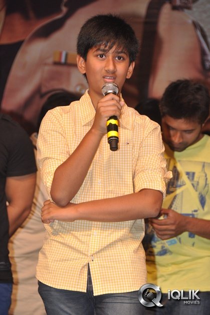 Race-Gurram-Movie-Success-Meet